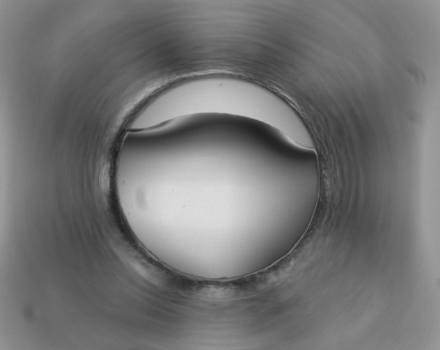 X0000113180350200909181858