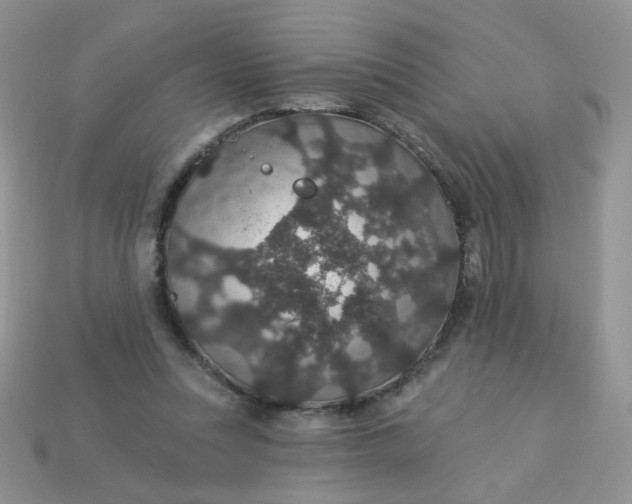 X0000113180351200909181858