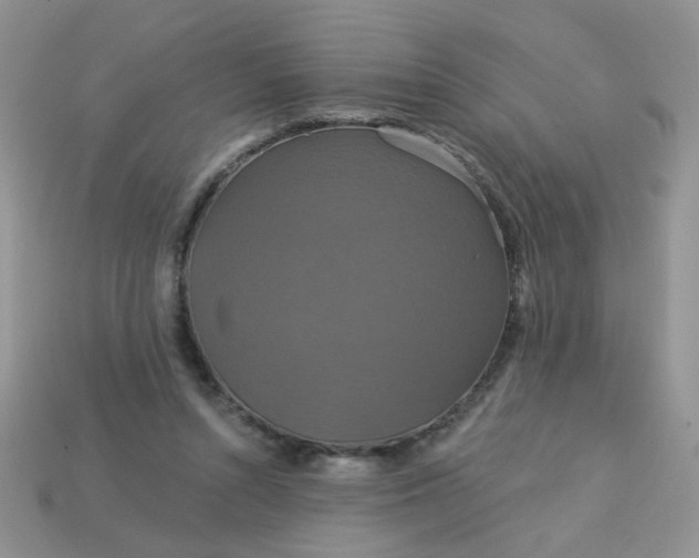 X0000113180352200909181858