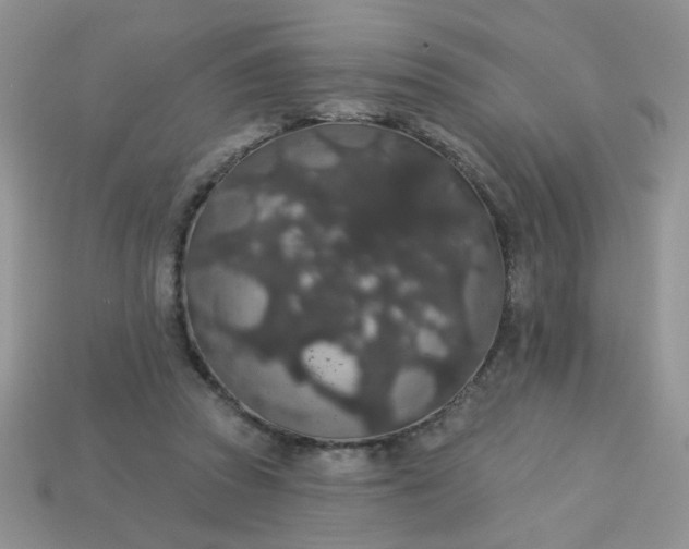 X0000113180353200909181858