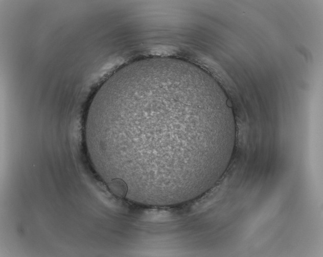 X0000113180354200909181858