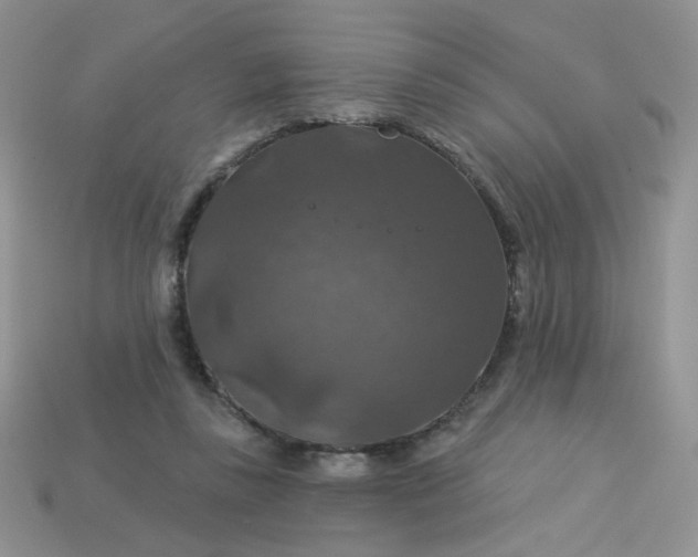 X0000113180355200909181858