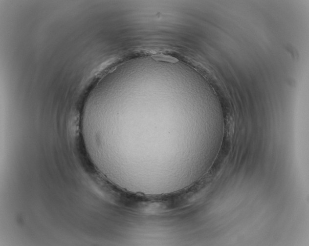 X0000113180356200909181858