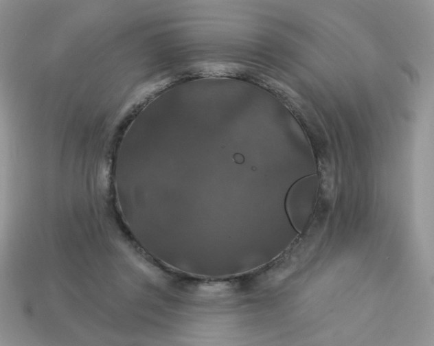 X0000113180357200909181858