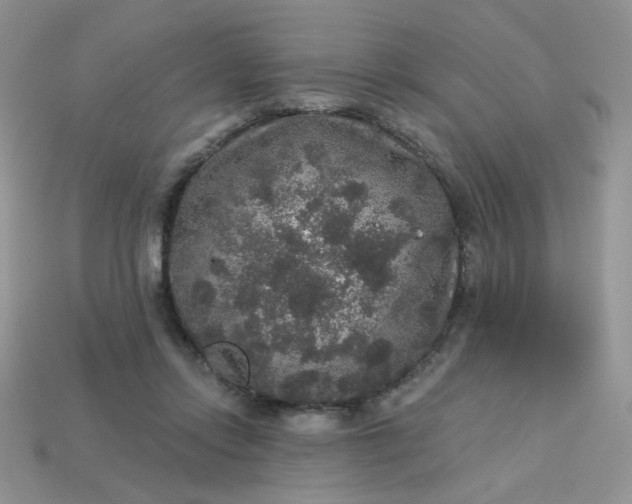 X0000113180358200909181858