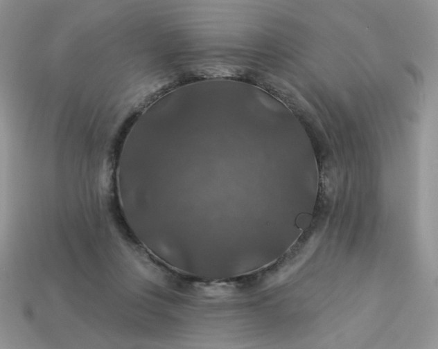 X0000113180359200909181858