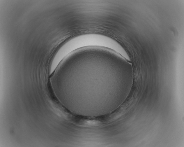 X0000113180360200909181858