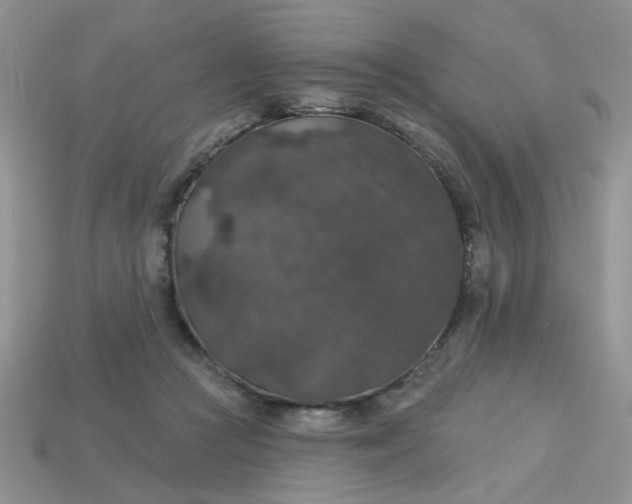 X0000113180361200909181858