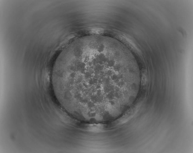 X0000113180363200909181858