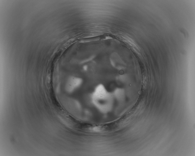 X0000113180365200909181858