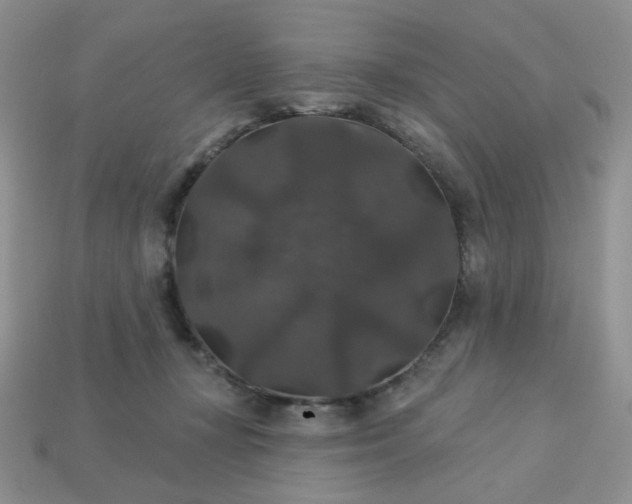 X0000113180367200909181858