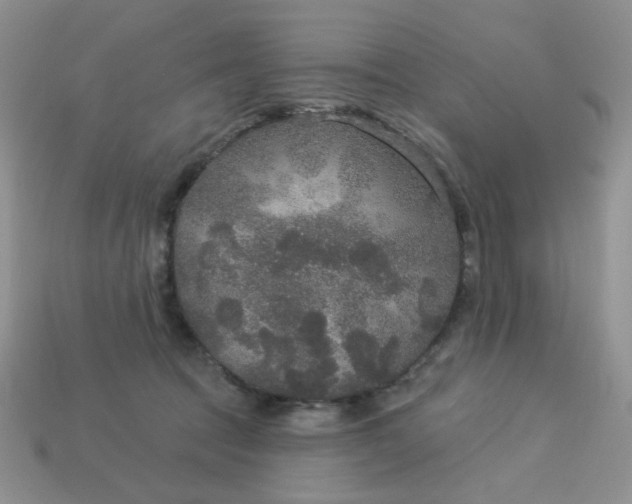 X0000113180369200909181859