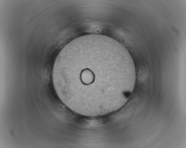 X0000113180370200909181859