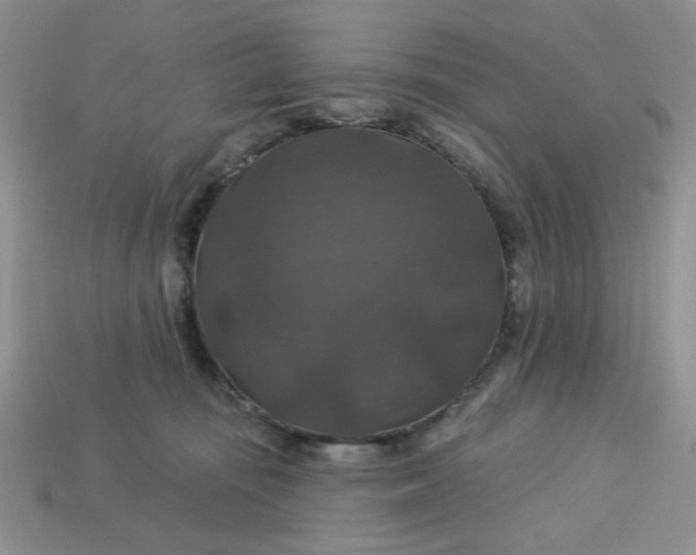 X0000113180371200909181859