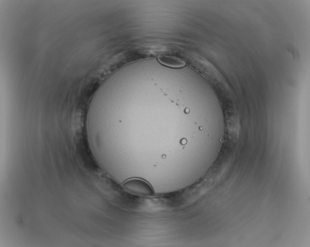 X0000113180372200909181859