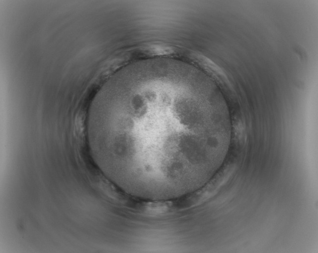 X0000113180373200909181859