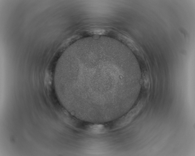 X0000113180374200909181859