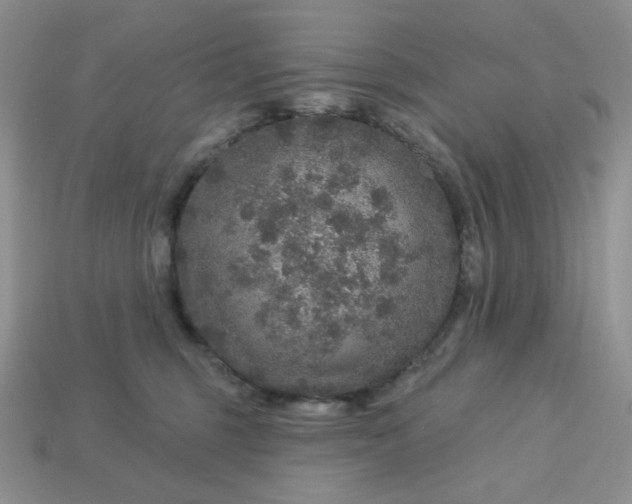 X0000113180375200909181859