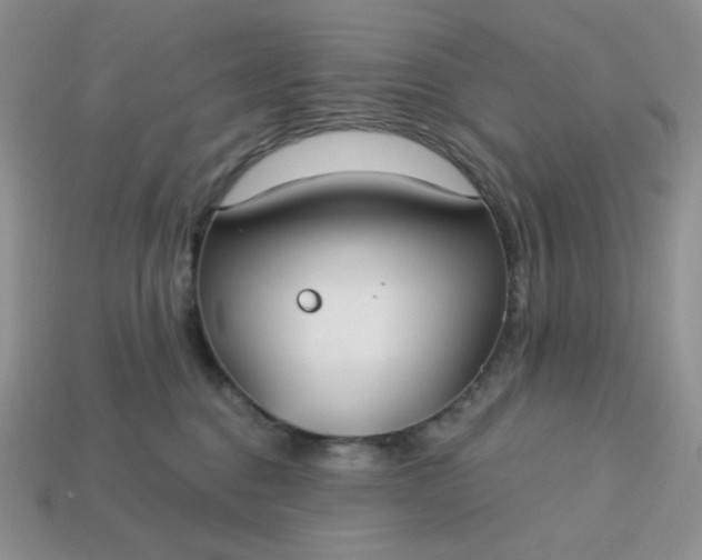 X0000113180376200909181859