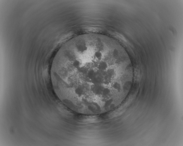 X0000113180377200909181859