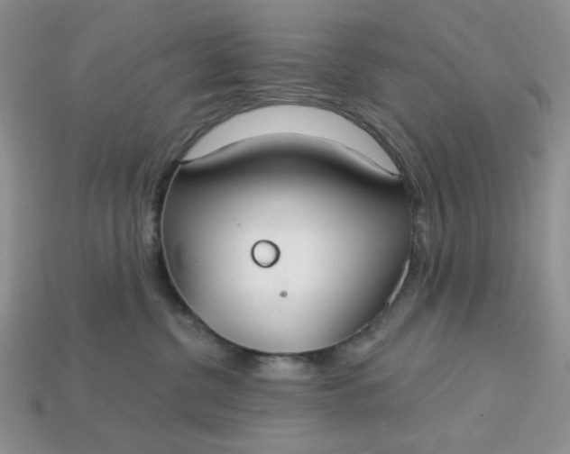 X0000113180380200909181859