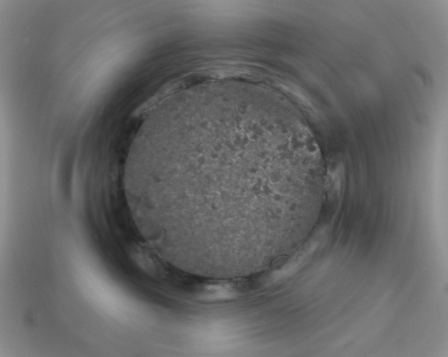 X0000113180381200909181859