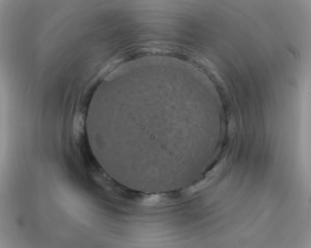 X0000113180382200909181859