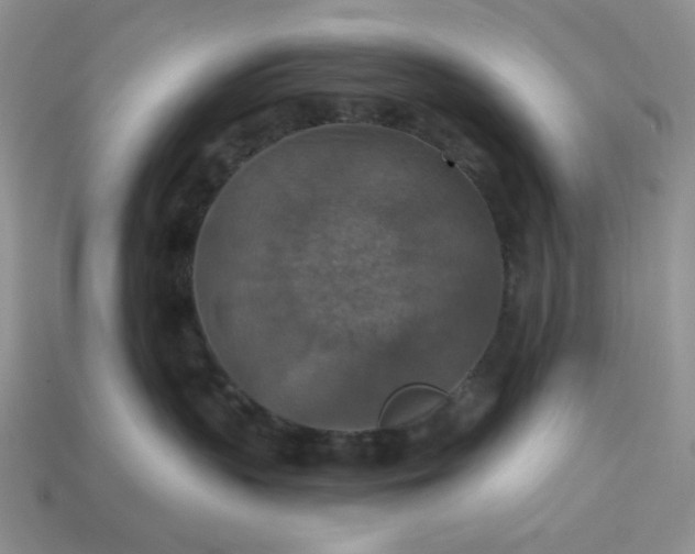 X0000113180383200909181859