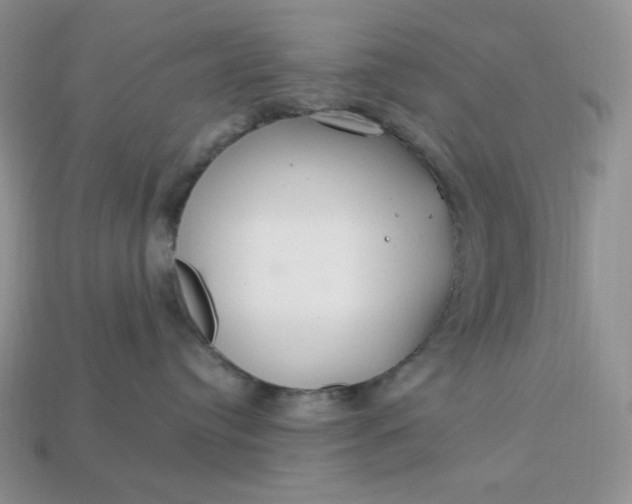 X0000113180384200909181859