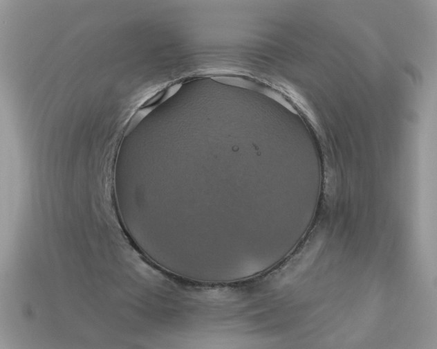 X0000113180385200909181858