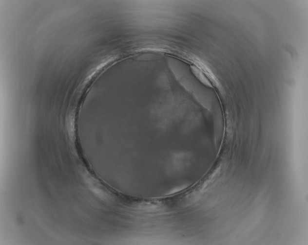 X0000113180386200909181858