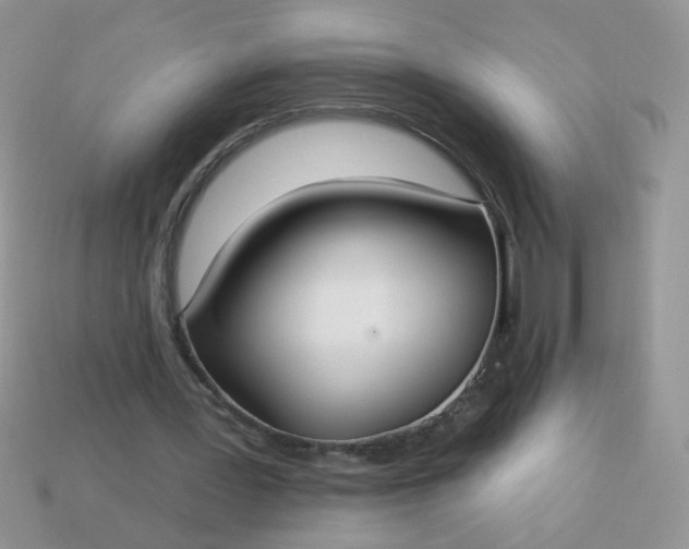 X0000113180387200909181858