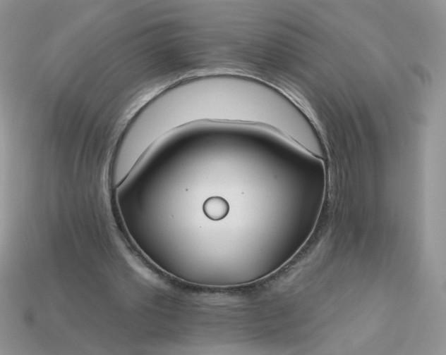 X0000113180389200909181858