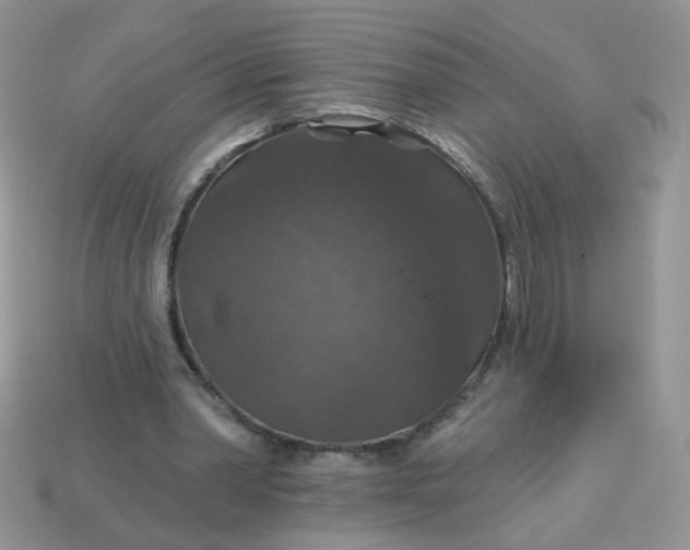 X0000113180390200909181858