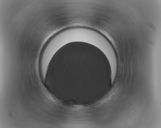 X0000113180391200909181858