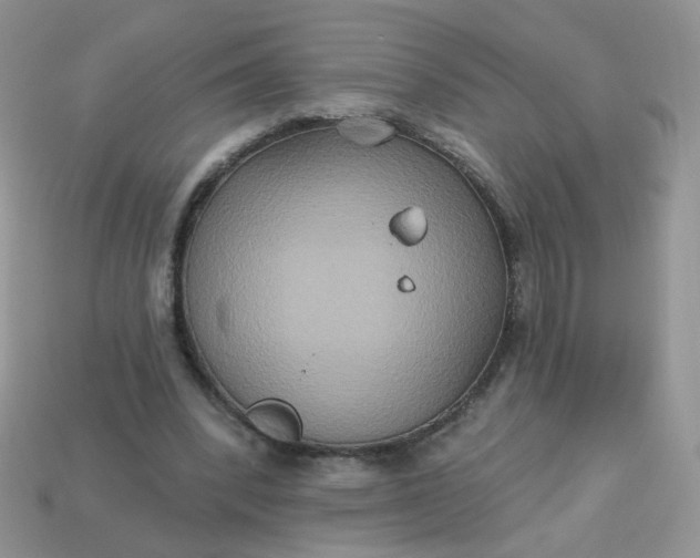 X0000113180392200909181858