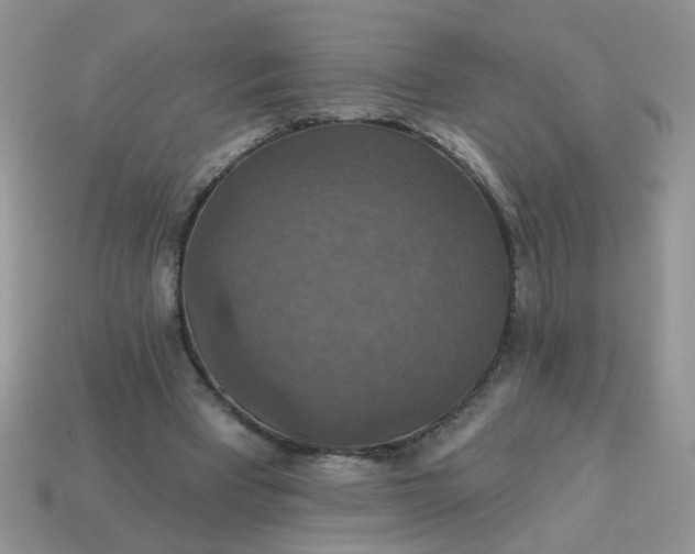 X0000113180393200909181858