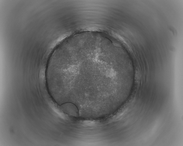 X0000113180394200909181858