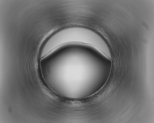 X0000113180395200909181858