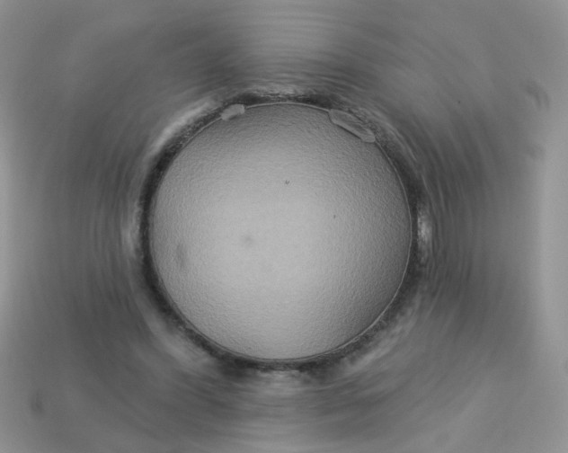 X0000113180396200909181858