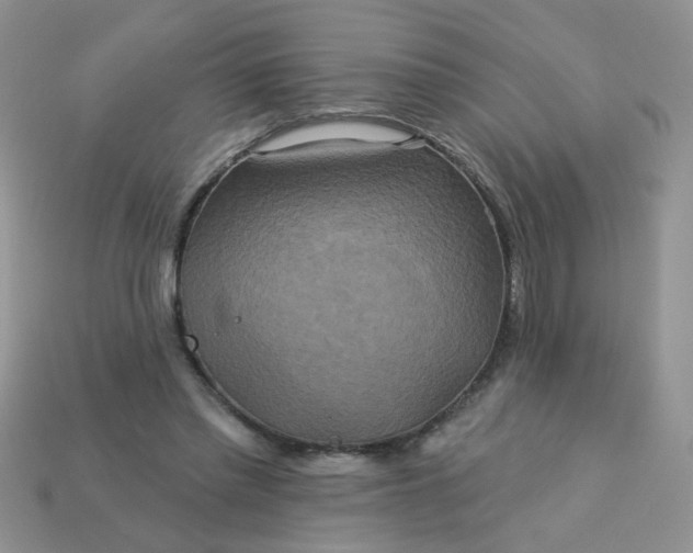 X0000113180397200909181858