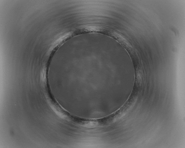 X0000113180398200909181858