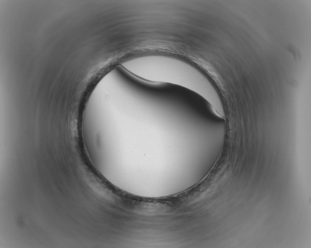 X0000113180399200909181858