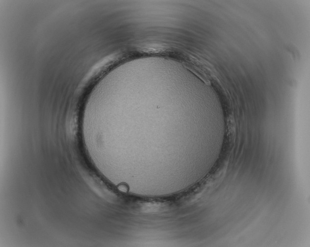 X0000113180400200909181858