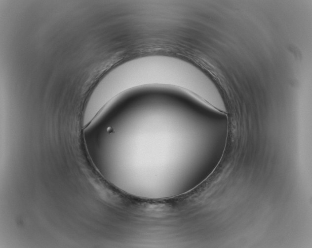 X0000113180401200909181858