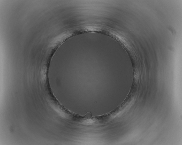 X0000113180402200909181858