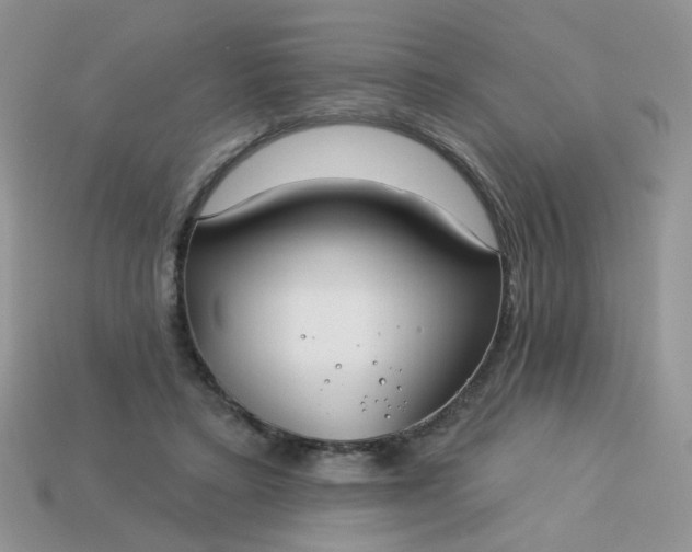 X0000113180403200909181858