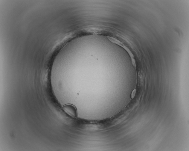 X0000113180404200909181858