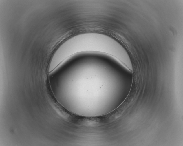 X0000113180405200909181858