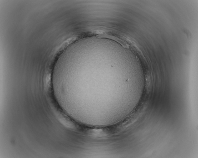 X0000113180406200909181858